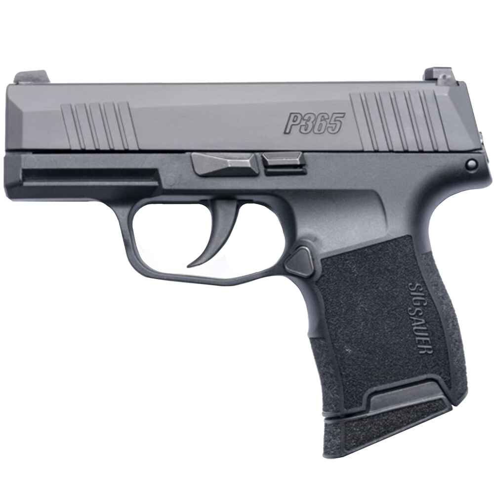 P365 Nitron 9mmLuger 10 Schuss - 1 Reservemagazin