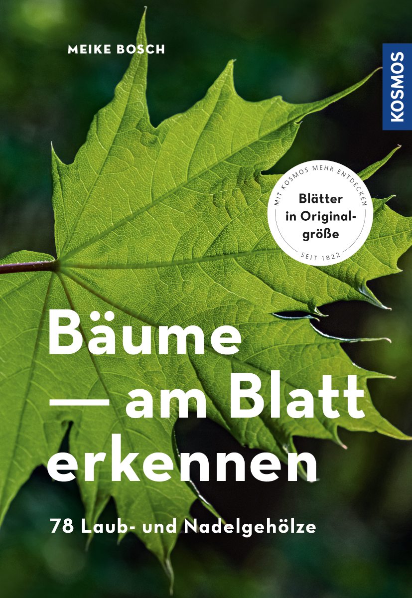 Das Buch Bäume am Blatt erkennen (Meike Bosch) 