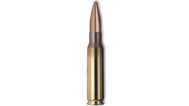 Target HP 10,9g - 168gr .308Win 50er Pck.