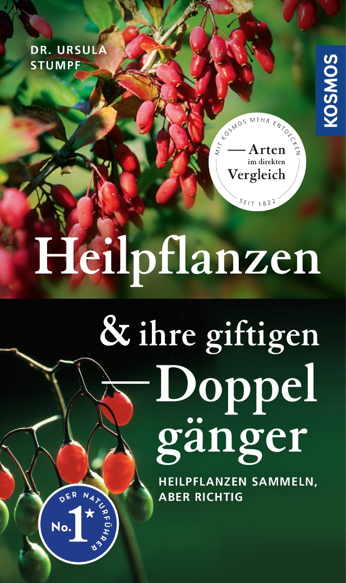 Heilpflanzen sammeln – mit dem Buch Heilpflanzen & ihre giftigen Doppelgänger von DR. Ursula Stumpf 