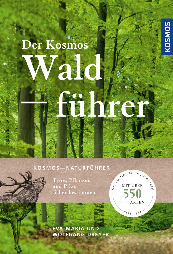 Kosmos Waldführer von Eva-Maria und Wolfgang Dreyer.