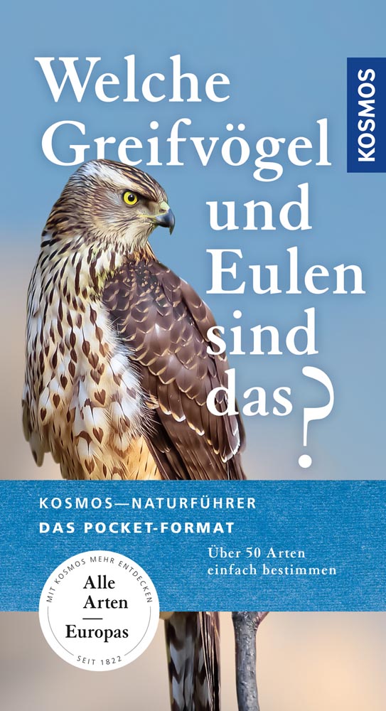 Kosmos Verlag Sachbuch Welche Greifvögel und Eulen sind das? 