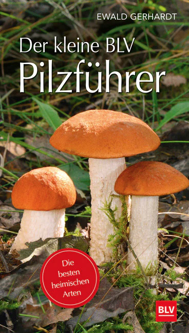 Gräfe & Unzer  Fachbuch Der kleine BLV Pilzführer  Der übersichtliche Pilzführer verrät einem alles über 200 verschiedene Arten. 