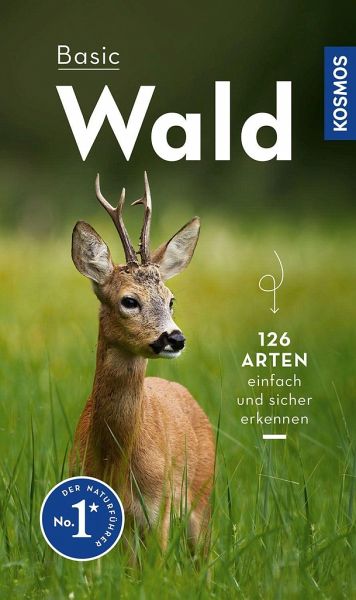 126 Arten der Waldbewohner, Pflanzen und Pilze einfach und sicher erkennen mit dem Buch Basic Wald von Ute Wilhelmsen (Verlag Kosmos).