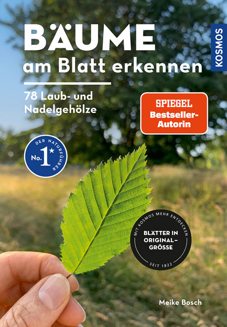 Bäume am Blatt erkennen Meike Bosch