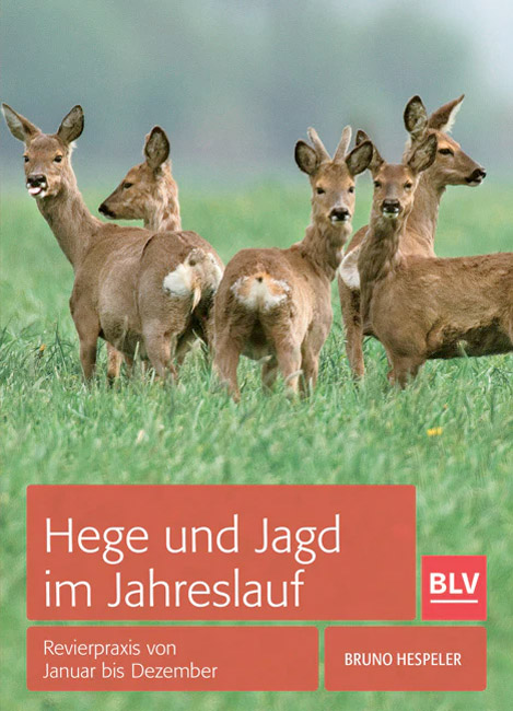 Buch Hege und Jagd im Jahresverlauf  von Bruno Hespeler