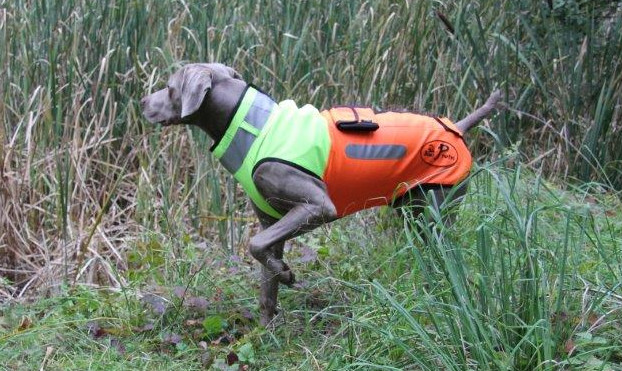 Hundeschutzweste Boar Protec mit GPS