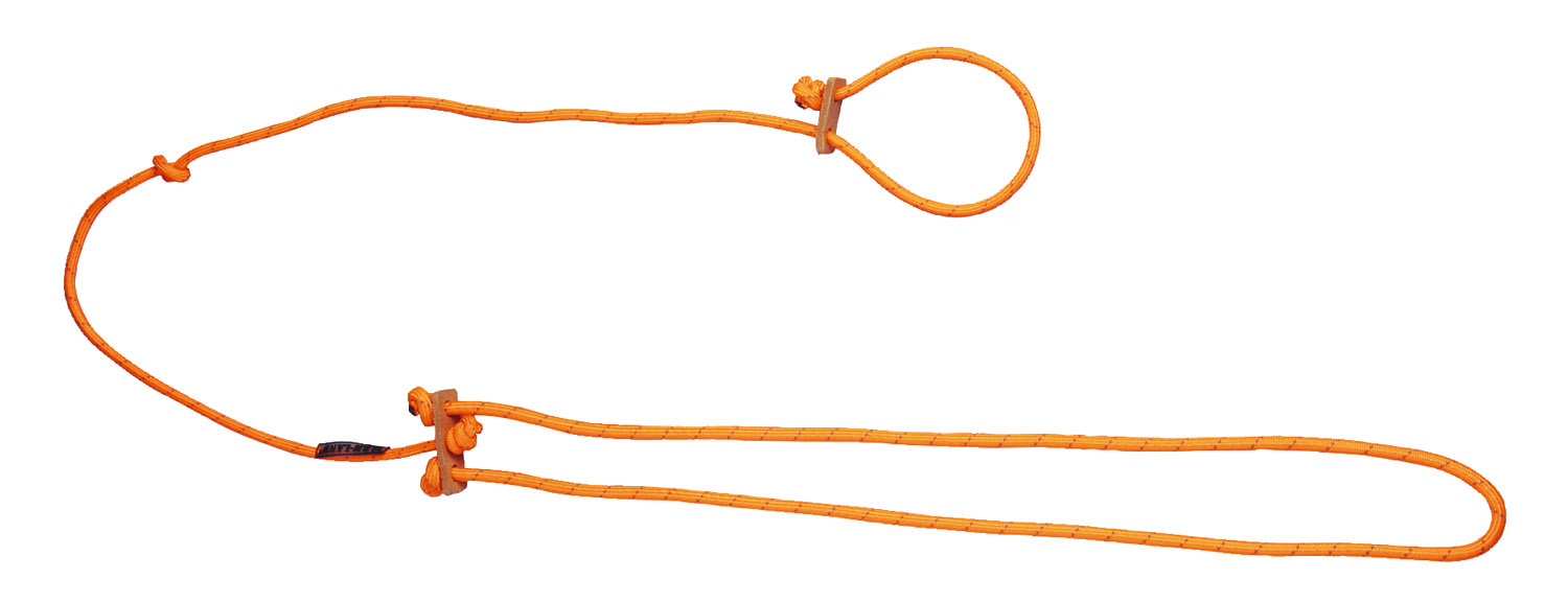 Hundeleine  / Lautlos / Farbe: orange