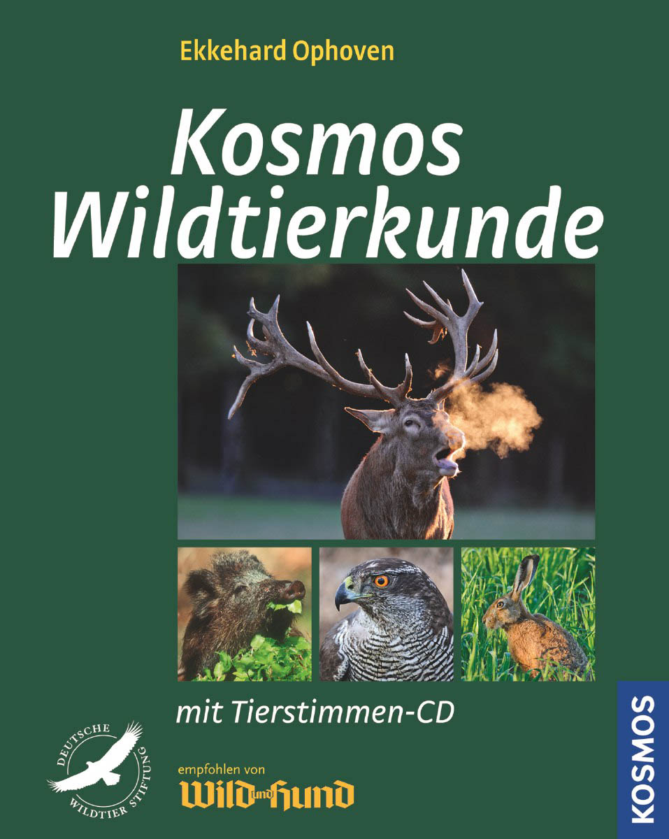 Wildtierkunde mit CD   Ekkehard Ophoven
