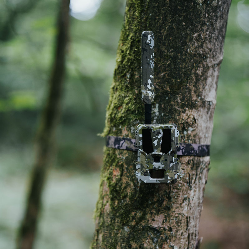 Bresser Modern Hunter Mini Wildkamera Hunter 4G, mit Baumgurt an einem Baum im Revier befestigt, Kamera durh Camo-Muster sehr gut getarnt