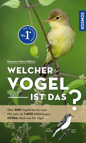 Welcher Vogel ist das? Dierschke